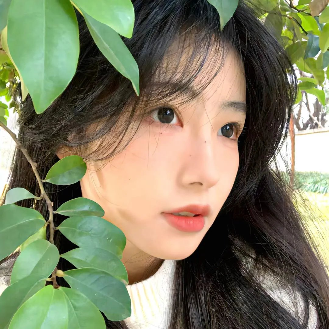 夏风沉醉的晚上